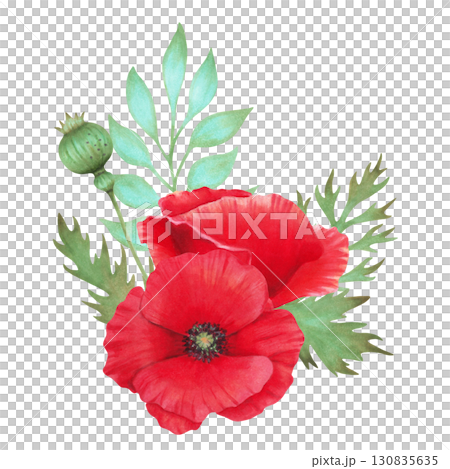 Poppy flower composition with pod, branch. Botanical watercolor, marker illustration. Hand drawn isolated work. Wild poppy festival. Spring and Labor Day. Traditional medicine cosmetology, packaging. 130835635
