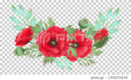 Horizontal composition of scarlet poppy flower with pod and turquoise branch. Botanical watercolor illustration. Hand drawn isolated work. Symbolism of memory, peace. Wild flowers for packaging, card. 130835636