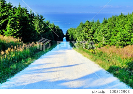 白い道 (北海道稚内市宗谷村宗谷) 白い道 (北海道稚内市宗谷村宗谷) 130835908