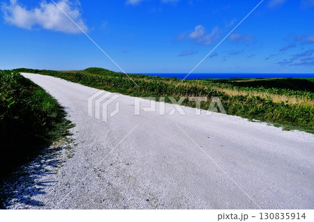 白い道 (北海道稚内市宗谷村宗谷) 白い道 (北海道稚内市宗谷村宗谷) 130835914