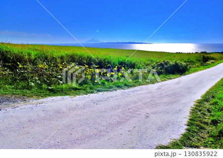 白い道 (北海道稚内市宗谷村宗谷) 白い道 (北海道稚内市宗谷村宗谷) 130835922