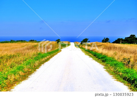白い道 (北海道稚内市宗谷村宗谷) 白い道 (北海道稚内市宗谷村宗谷) 130835923