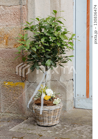 Outdoor potted plant with lush green leaves and decorative floral arrangement, placed against a textured stone wall. The scene combines natural elements with rustic charm Outdoor potted plant with lush green leaves and decorative floral arrangement, placed against a textured stone wall. The scene combines natural elements with rustic charm 130836474