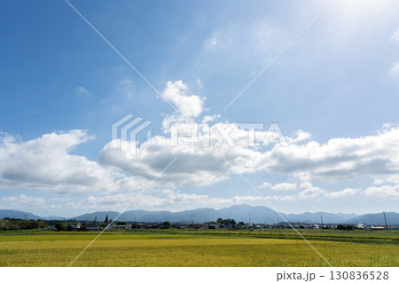 夏の終わりの田園地帯と青空のコピースペース 130836528