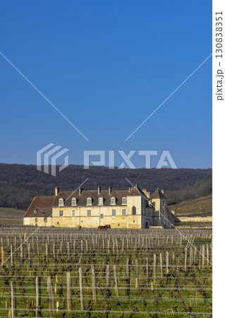 Chateau du Clos de Vougeot standing majestically amidst vineyards in Burgundy, France Chateau du Clos de Vougeot standing majestically amidst vineyards in Burgundy, France 130838351