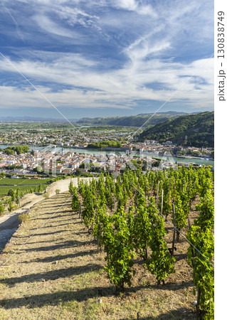 Vineyards overlooking Tain l'Hermitage in the Drome region of France under a blue sky Vineyards overlooking Tain l'Hermitage in the Drome region of France under a blue sky 130838749