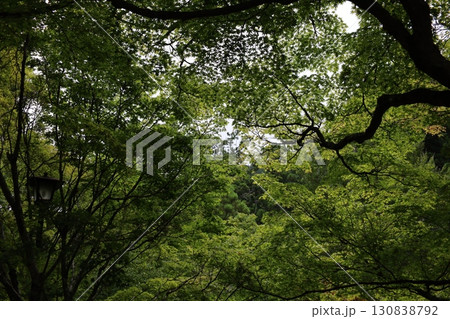 法多山尊永寺内の静かな山中 法多山尊永寺内の静かな山中 130838792