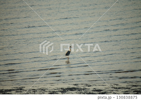 荒尾市 有明海 海岸 元旦の夕暮れ、 荒尾市 有明海 海岸 元旦の夕暮れ、 130838875