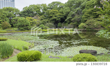 曇りの皇居の秋 曇りの皇居の秋 130839728