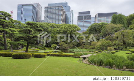 曇りの皇居の秋 130839735