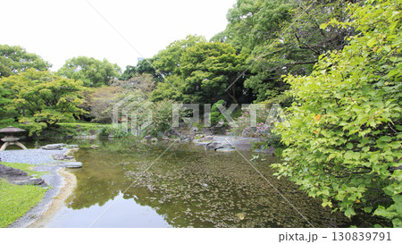 曇りの皇居の秋 130839791