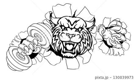 Wildcat Cougar Lynx Lion Weight Lifting Gym Mascot 130839973
