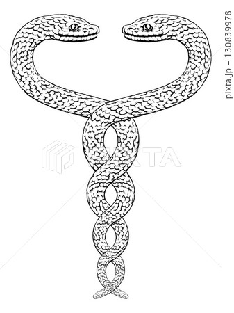 Snakes Two Intertwined Helix Vintage Illustration 130839978