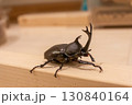 カブトムシ 130840164