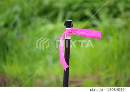 ピンクの印 130840304