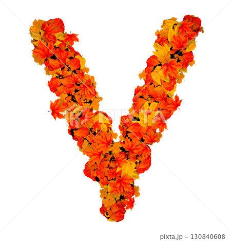 Letter V composed of fall leaves. 130840608