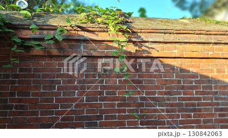 背景 バックグラウンド バックグランド 130842063