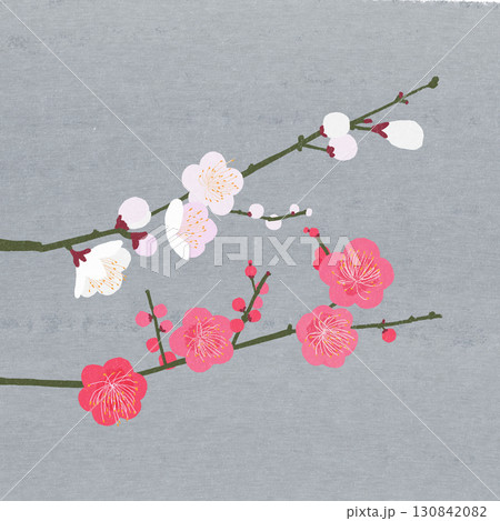 春の訪れを告げる日本の花、梅 130842082