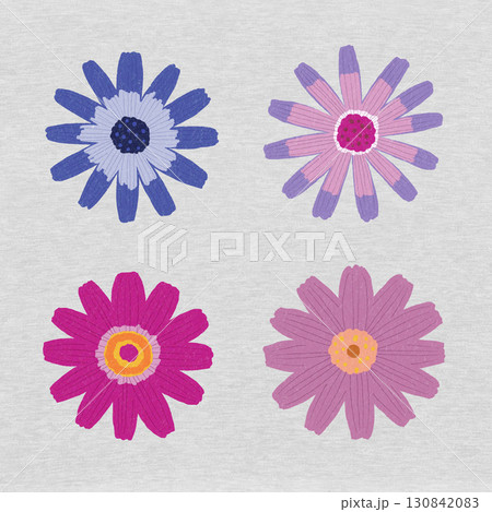 カラフルな花、シネラリア 130842083