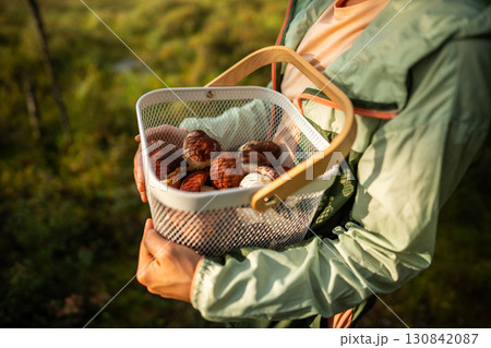 Mushroom basket in autumn. Woman holding basket filled with edible fungi in forest, woods hunting Mushroom basket in autumn. Woman holding basket filled with edible fungi in forest, woods hunting 130842087