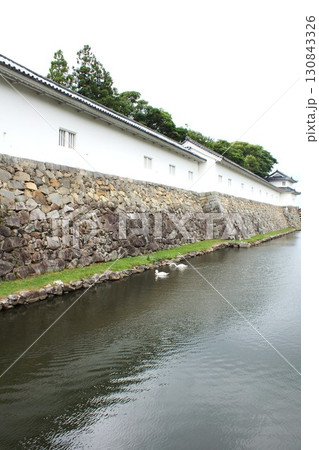 彦根城二の丸佐和口多聞櫓 彦根城二の丸佐和口多聞櫓 130843326