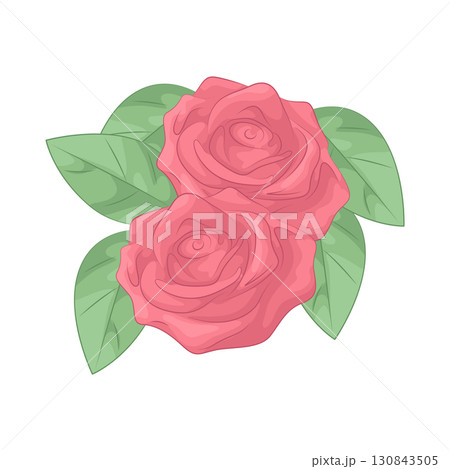 Illustration of rose Illustration of rose 130843505