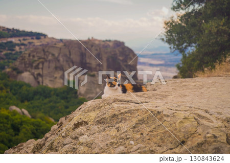 ギリシャ•メテオラ、世界遺産の絶景の岩の↑でおすわりする猫 ギリシャ•メテオラ、世界遺産の絶景の岩の↑でおすわりする猫 130843624