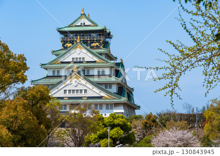 青空と満開の桜に彩られた春の大阪城。大阪市、大阪府、日本 130843945