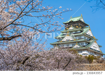 青空と満開の桜に彩られた春の大阪城。大阪市、大阪府、日本 130843957