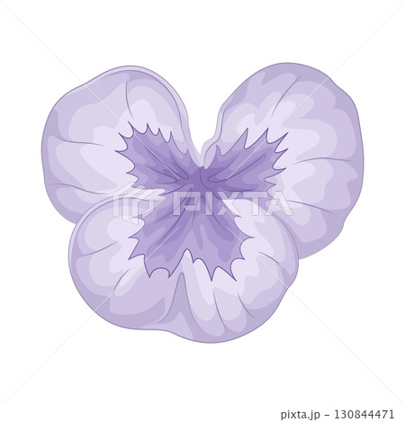 Illustration of purple flower Illustration of purple flower 130844471