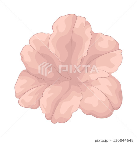 Illustration of pink flower 130844649
