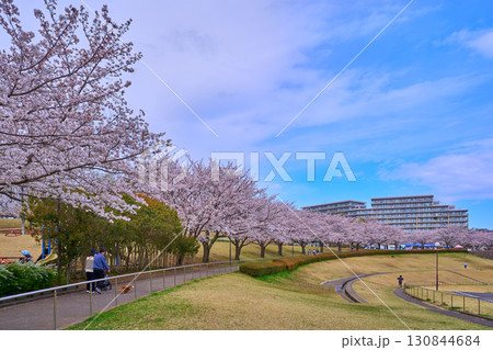桜咲く東京都稲城市若葉台1丁目の若葉台公園を見る 130844684