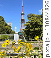 札幌公園の花壇越に見えるテレビ塔 130844826