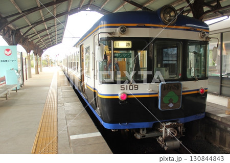 出雲の木　一畑電車・大社線 130844843