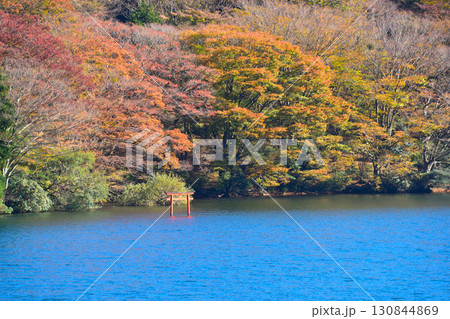 秋　芦ノ湖　九頭龍神社 130844869