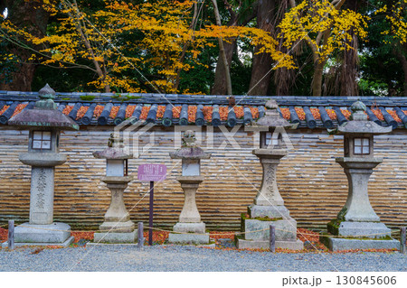 石清水八幡宮の信長塀と紅葉　 130845606