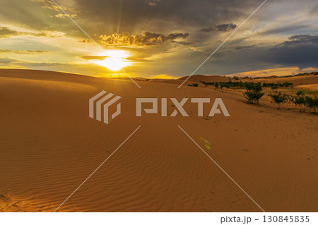 Landscape in desert at sunset 130845835