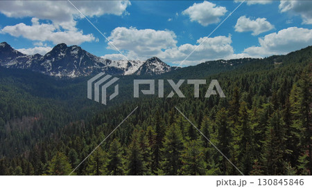 Rocky mountains in snow and green fir forest 130845846