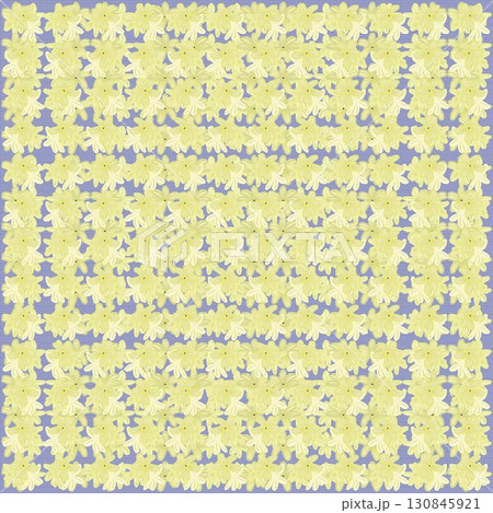 ヒアシンスの花びらの壁紙 130845921