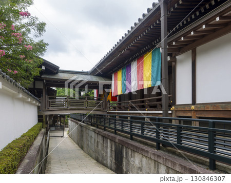 清荒神清澄寺の本堂と渡り廊下 130846307