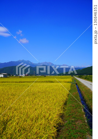 秋の田んぼと北アルプス 130846351