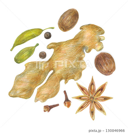 Hand drawn illustration with spices for graphic design. Ginger root, star anise, carnation, allspice, сardamom, nutmeg. Hand drawn colored pencil illustration on white background. 130846966