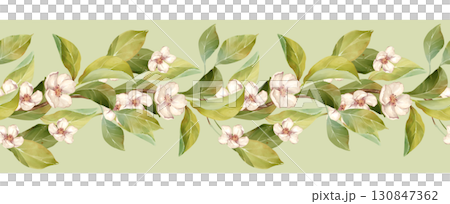 Hand-drawn illustration of a seamless horizontal border featuring delicate white blossoms and lush green leaves on a soft background. This elegant design is perfect for wedding stationery and spring 130847362
