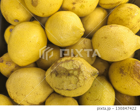 Close-up of a pile of fresh yellow lemons with natural imperfections 130847422