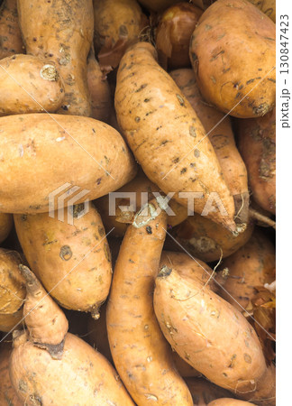 Close-up of a pile of fresh sweet potatoes boniatos with natural earthy skin texture Close-up of a pile of fresh sweet potatoes boniatos with natural earthy skin texture 130847423