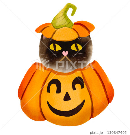 cute brown cat peeking out of halloween pumpkin hand drawn in watercolor style cute brown cat peeking out of halloween pumpkin hand drawn in watercolor style 130847495