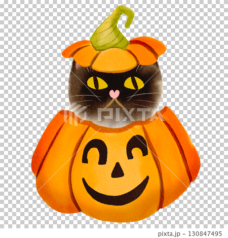 cute brown cat peeking out of halloween pumpkin hand drawn in watercolor style cute brown cat peeking out of halloween pumpkin hand drawn in watercolor style 130847495
