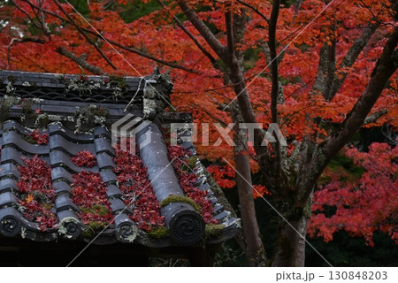11月、大阪河内長野市の延命寺の甍と紅葉 11月、大阪河内長野市の延命寺の甍と紅葉 130848203