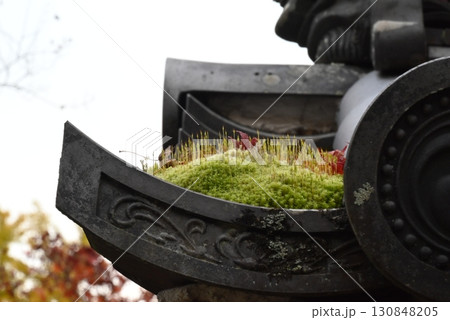 11月、大阪河内長野市の延命寺の甍と苔 11月、大阪河内長野市の延命寺の甍と苔 130848205