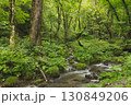 ブナの森　奥大山　木谷沢渓流　天然水のロケ地。 130849206
